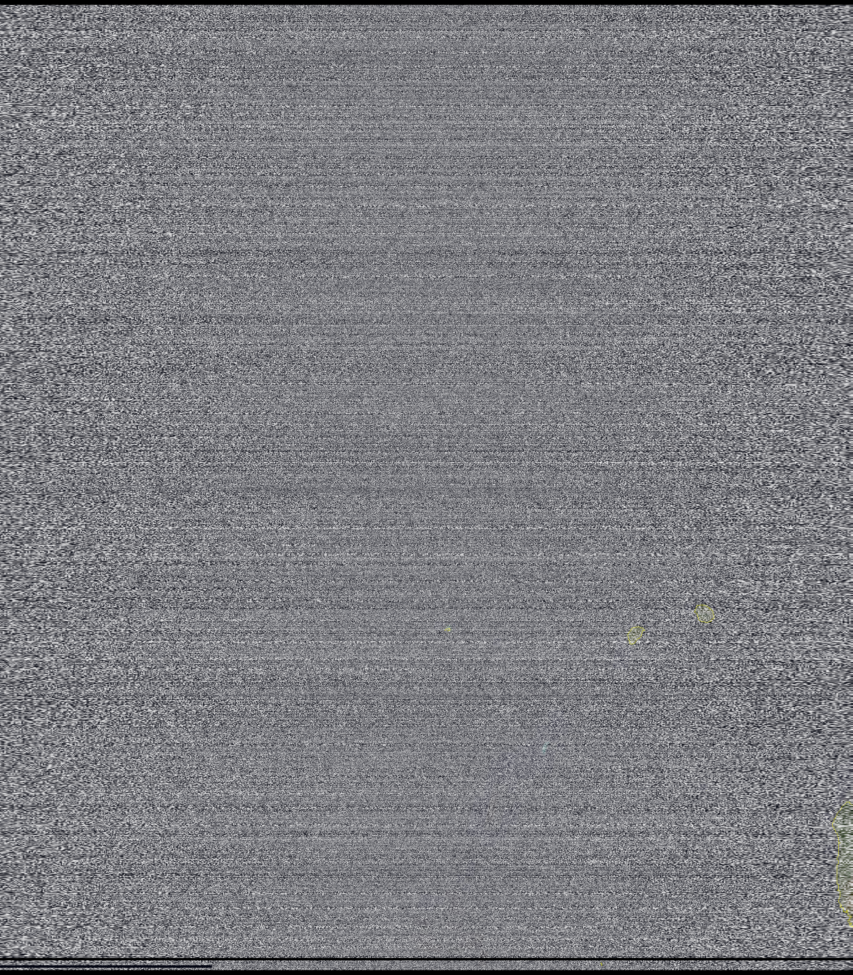 msu_mr_rgb_MSA_corrected_map.png